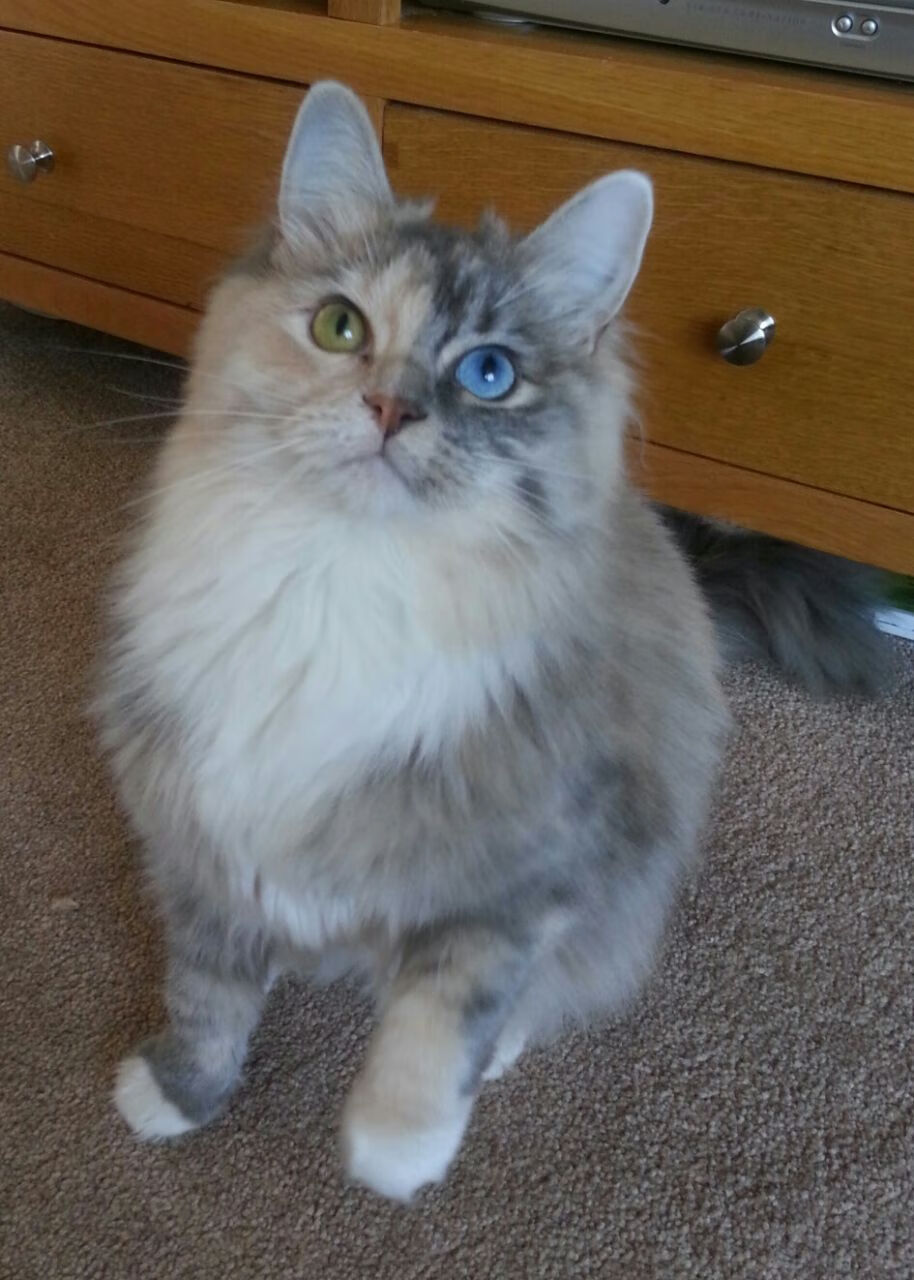 开云官网-CBA球队实施科学恢复管理减少伤病率,cba恢复主客场了吗