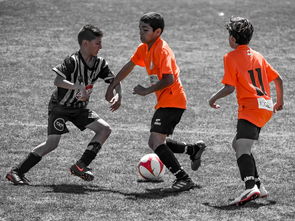 开云体育入口-NBA最佳新秀竞争激烈 三人数据旗鼓相当,nba最佳新秀含金量