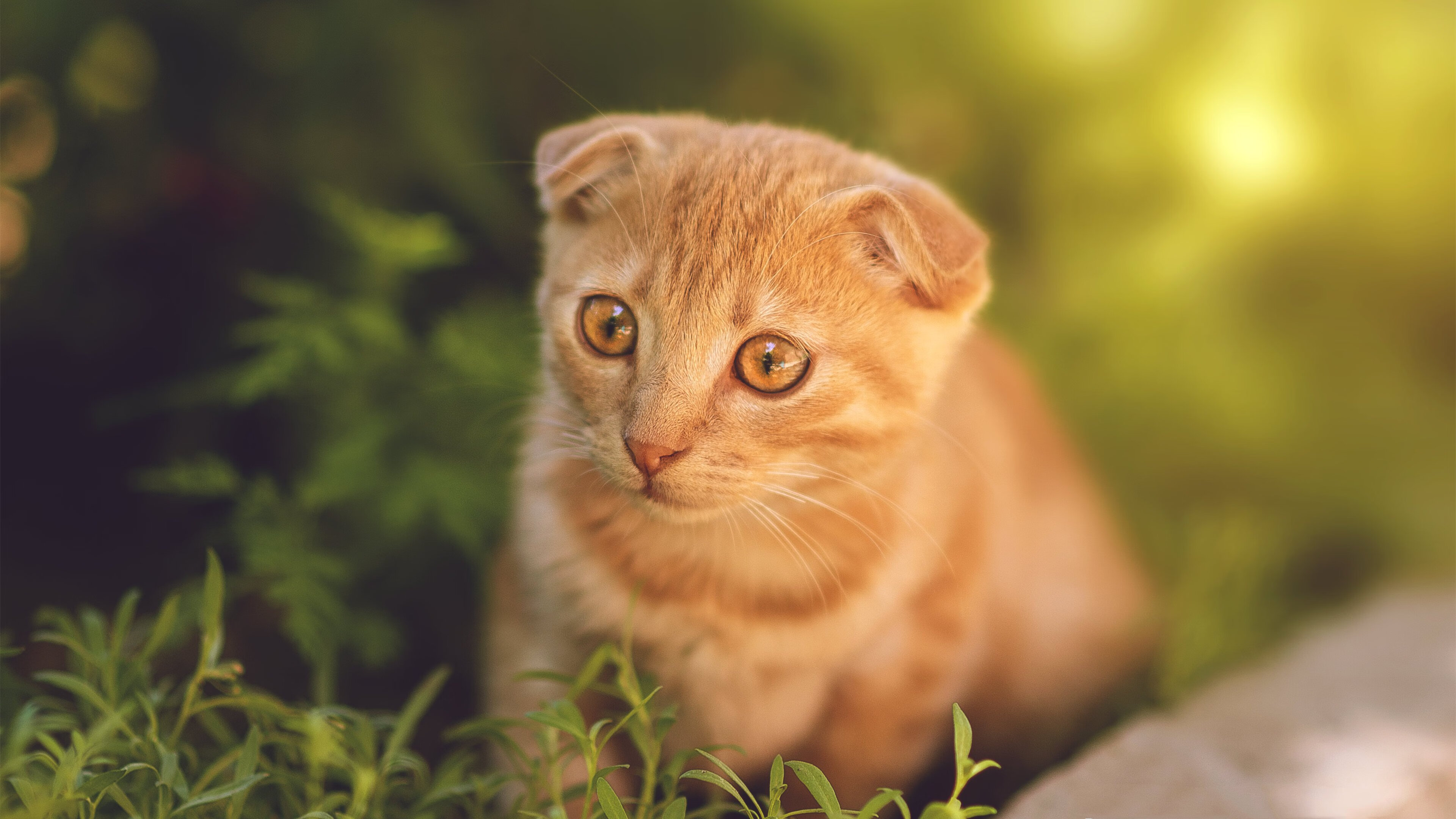 开云体育网站-世界杯预选赛国足爆冷 球迷热议不断升级，世界杯预选赛国足出线形势