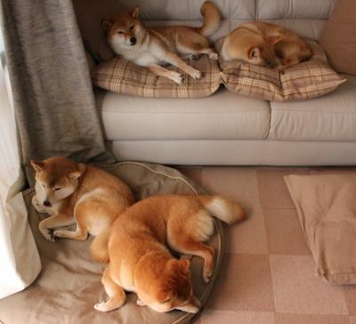 开云体育官网app-中国选手在国际柔道大赛中逆转夺冠，中国选手在国际柔道大赛中逆转夺冠了吗