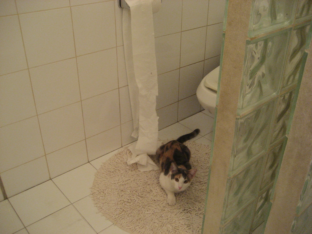 开云官方网-控卫掌握节奏的关键技术要素解析，控卫怎么控制节奏