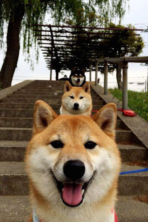 kaiyun开云体育-湖边赛事频传捷报,天府新区迎高光时刻,陈家跟蒋家什么关系