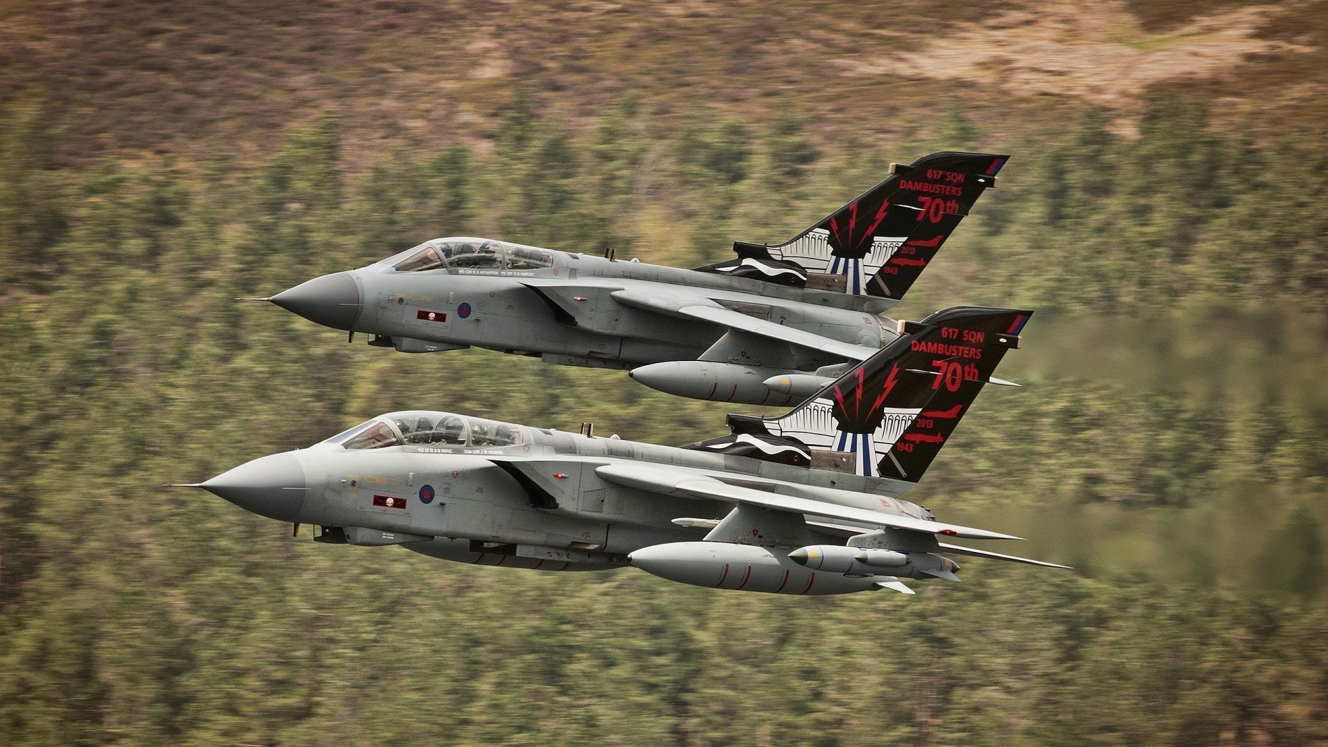 开云体育官网登入-张雨霏社交账号破百万粉丝大关，张雨霏接受采访视频