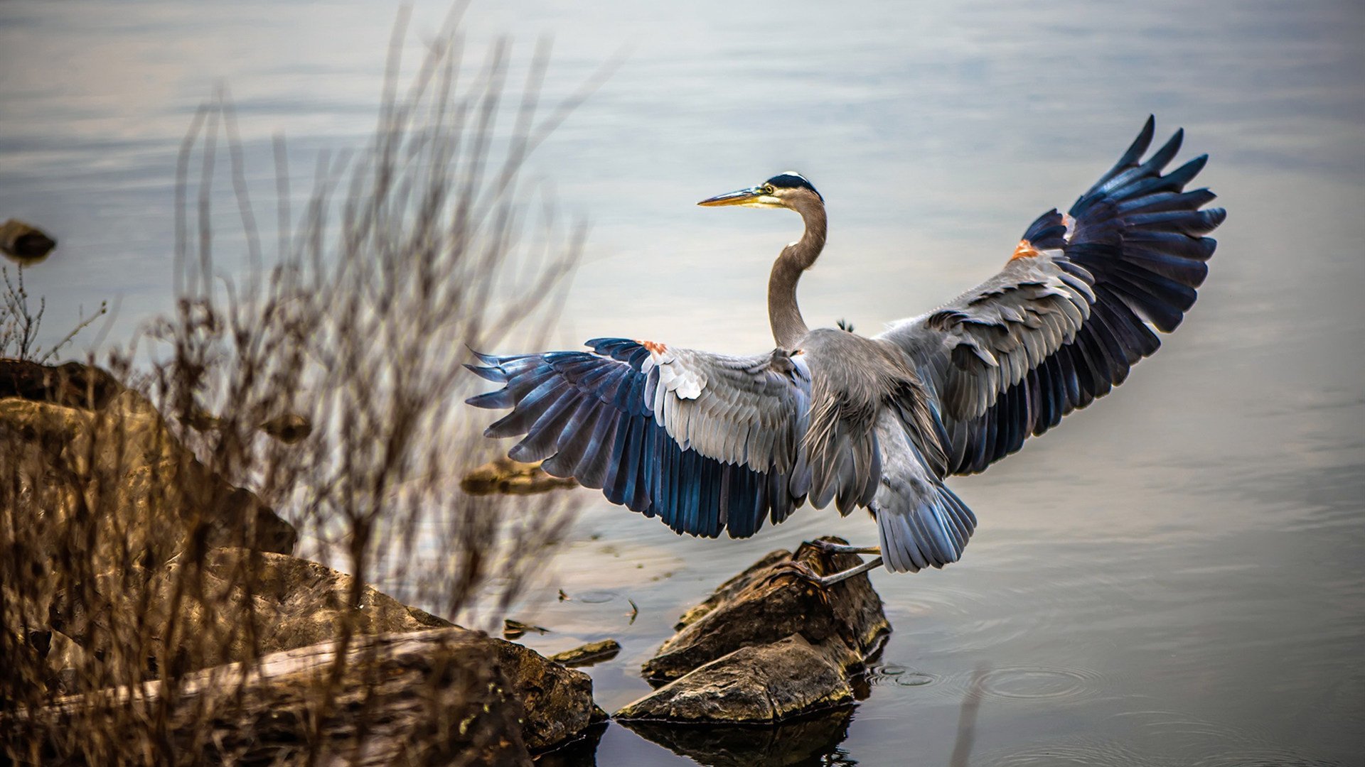 开云体育app官网-德甲拼搏精神:攀登冠军的每一步都充满激情,德甲扑救榜