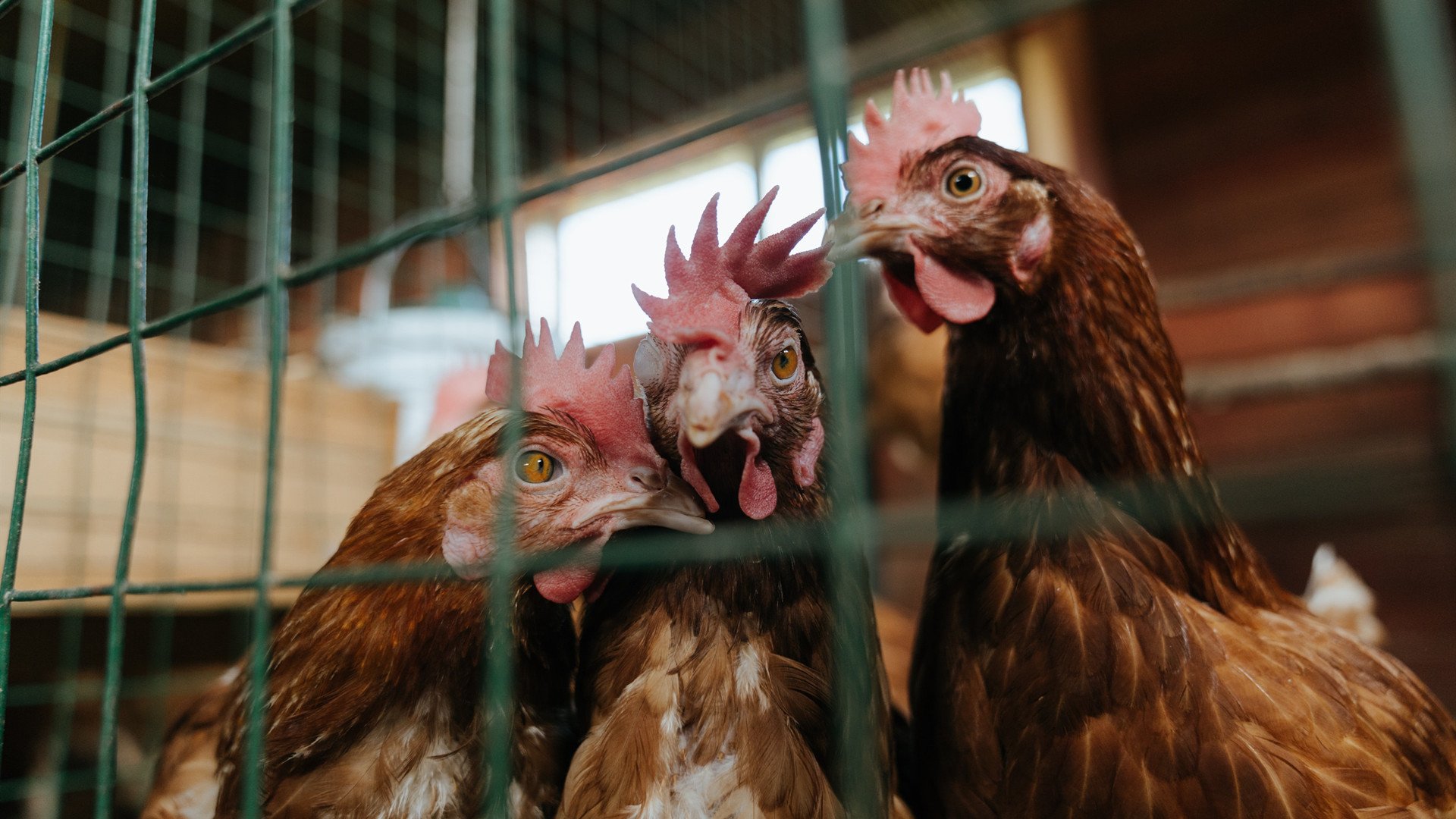 kaiyun网址-男子篮球注重球员个人技术提升促进全面发展,篮球运动员如何提高身体素质