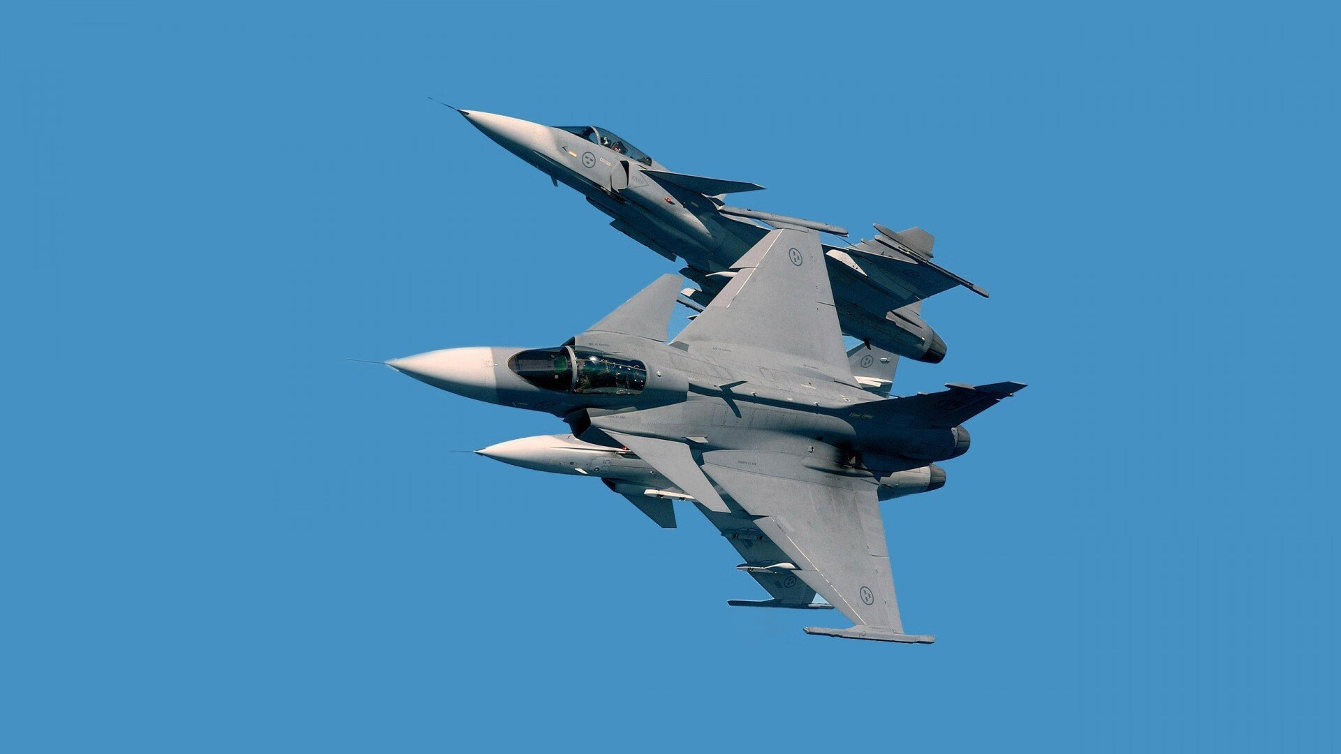 开云官网-贾瓦迪带动突尼斯游泳国际曝光，贾拉瓦人