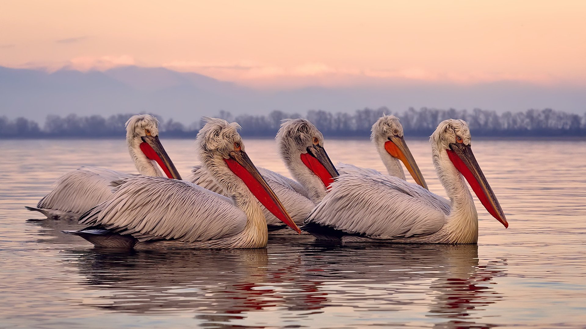 开云官方网-跨界合作推广足球主题的文化旅游节，增强品牌影响力，推广足球运动